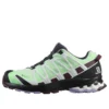 SALOMON XA PRO 3d V8 Gtx “Yeşil Siyah”
