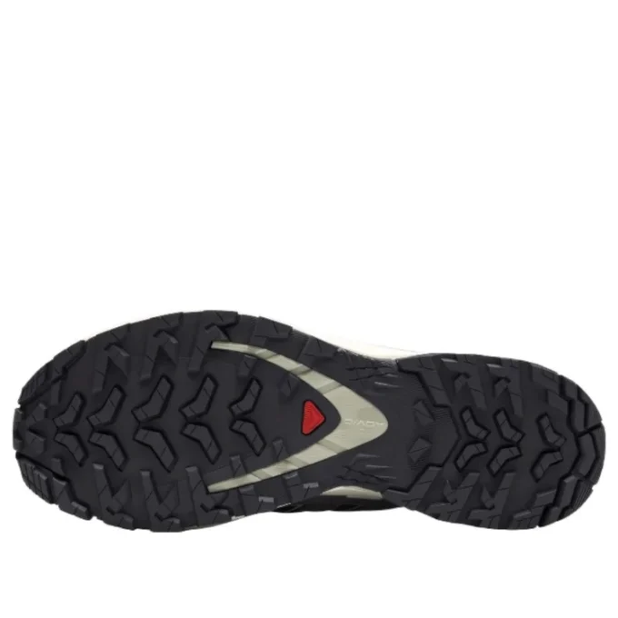 Salomon XA PRO 3D V9 GTX “Koyu Gri Bej”