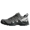 XA PRO 3D Gore-Tex “Pewter Silver Cloud”